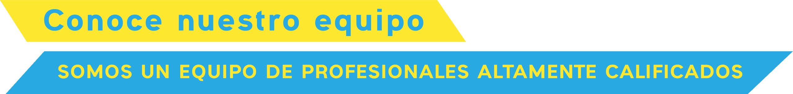 Conoce el equipo de nuestra escuela de conducción. Somos un equipo de profesionales altamente calificados.